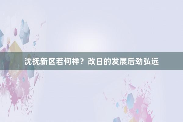 沈抚新区若何样？改日的发展后劲弘远